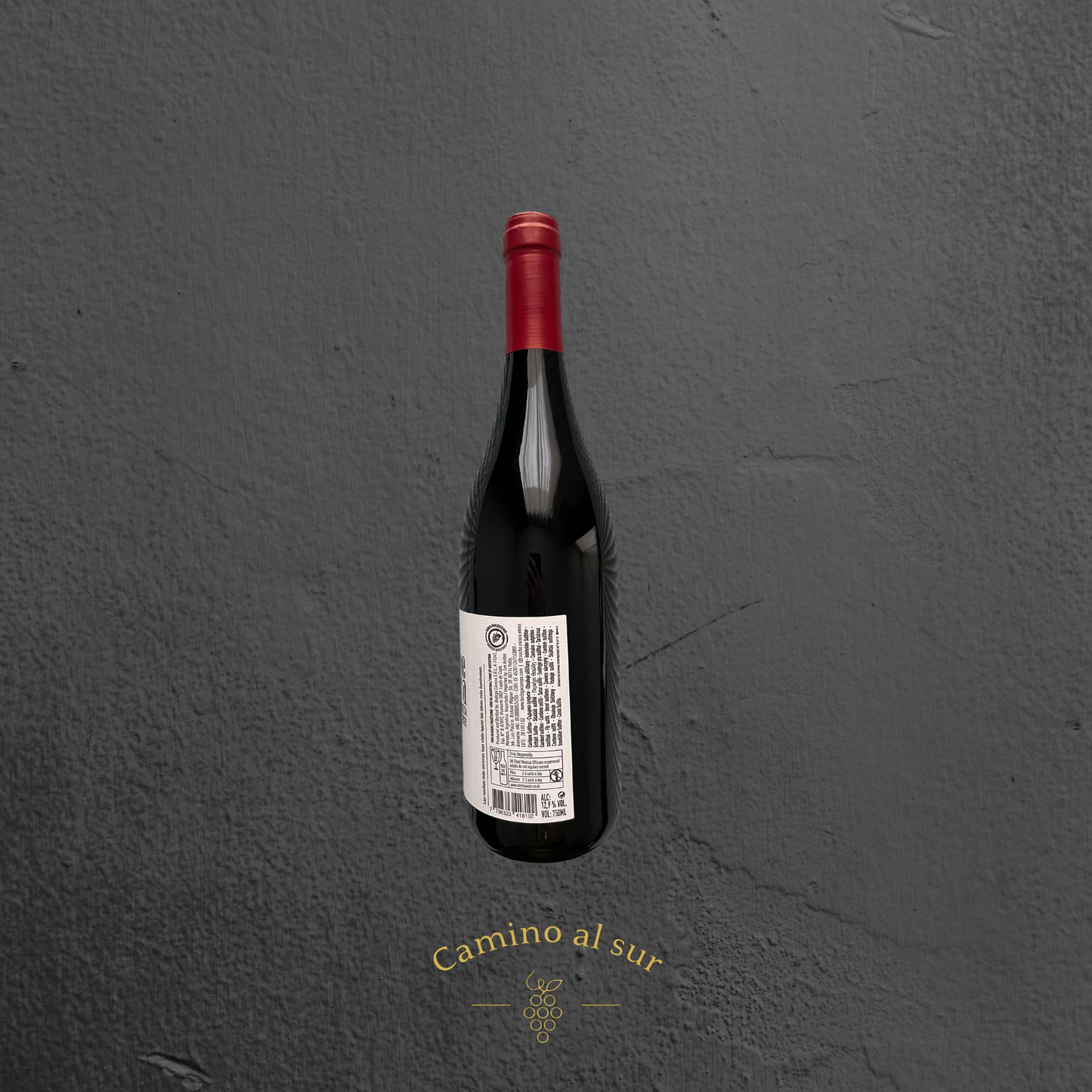 Familia Canepa Martin - Noche Oscura - Cereza - 2021 - 6er Karton