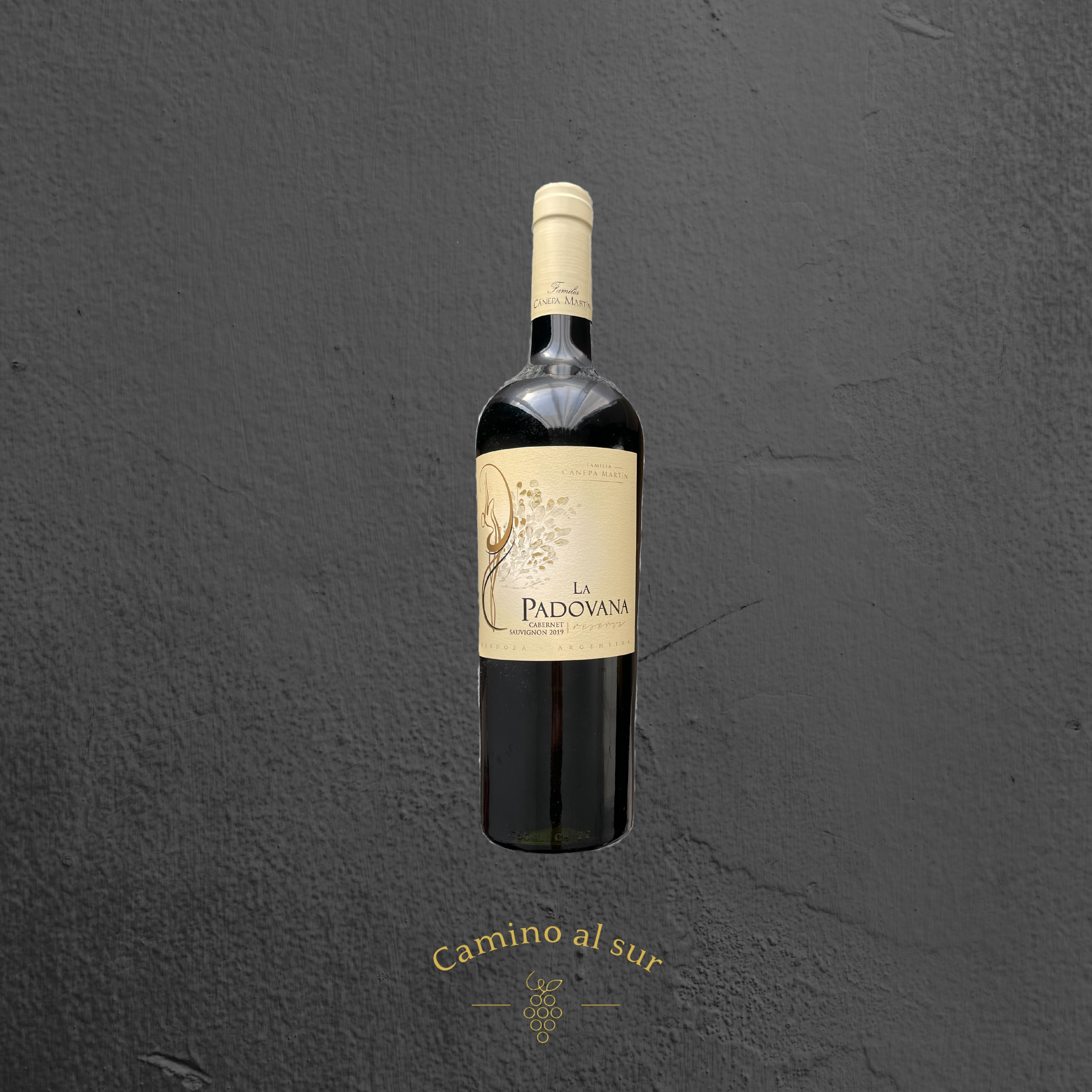 Familia Canepa Martin - La Padovana Reserva Cabernet Sauvignon - 2019 - € 18,00