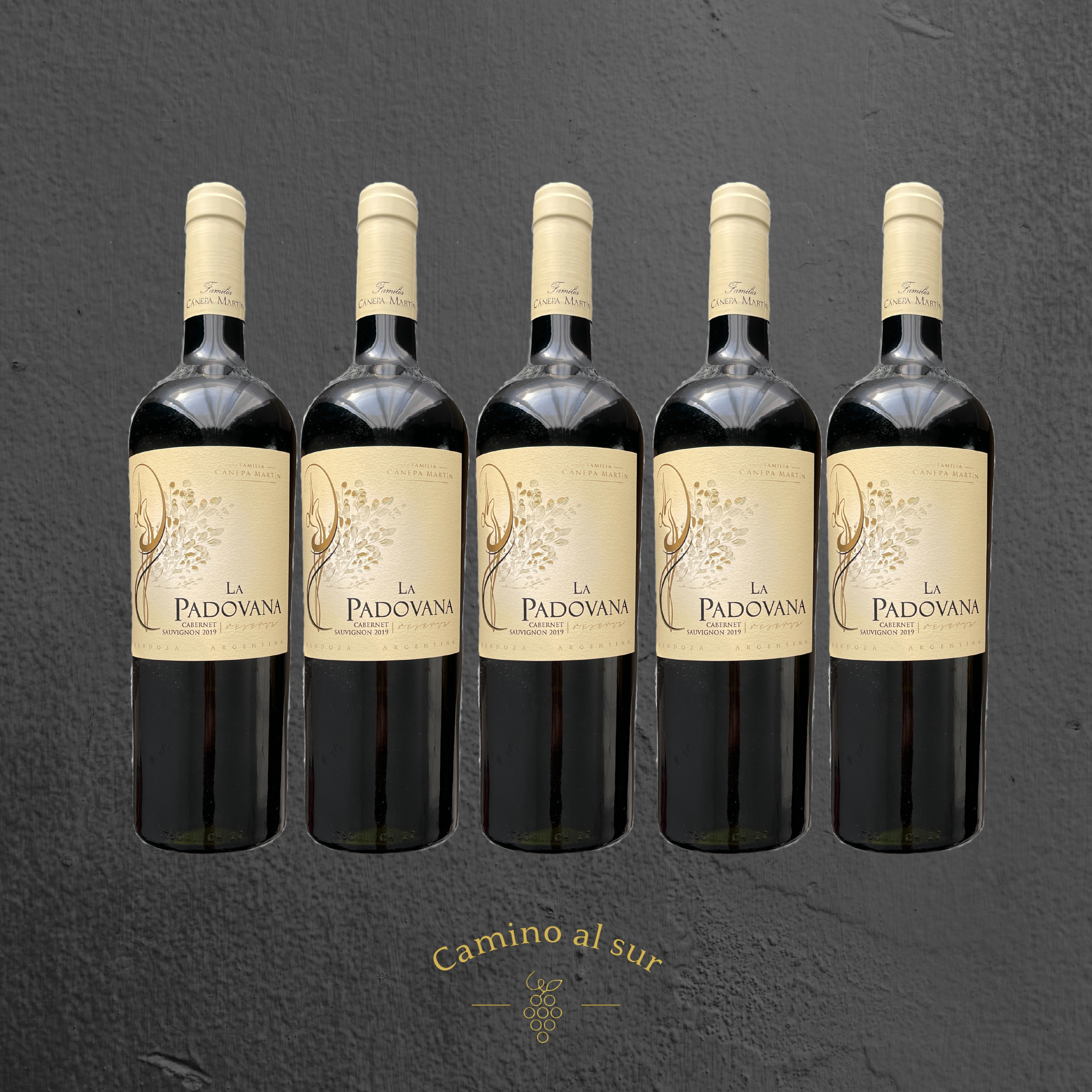 Familia Canepa Martin - La Padovana Reserva Cabernet Sauvignon - 2019 - € 18,00