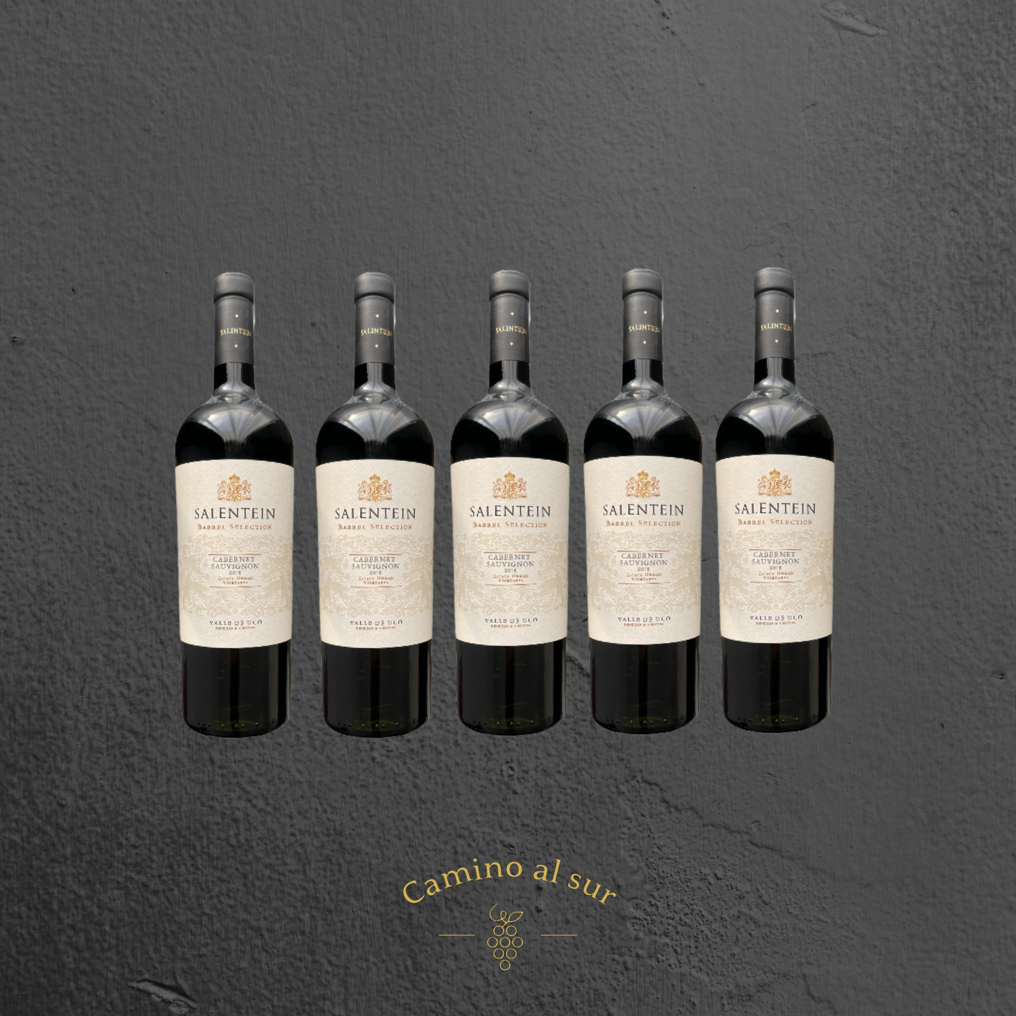 Salentein - Barrel Selection Cabernet Sauvignon - 2019 - € 22,50