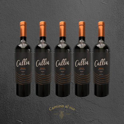 Callia - Magna Malbec - 2019 - 6er Karton