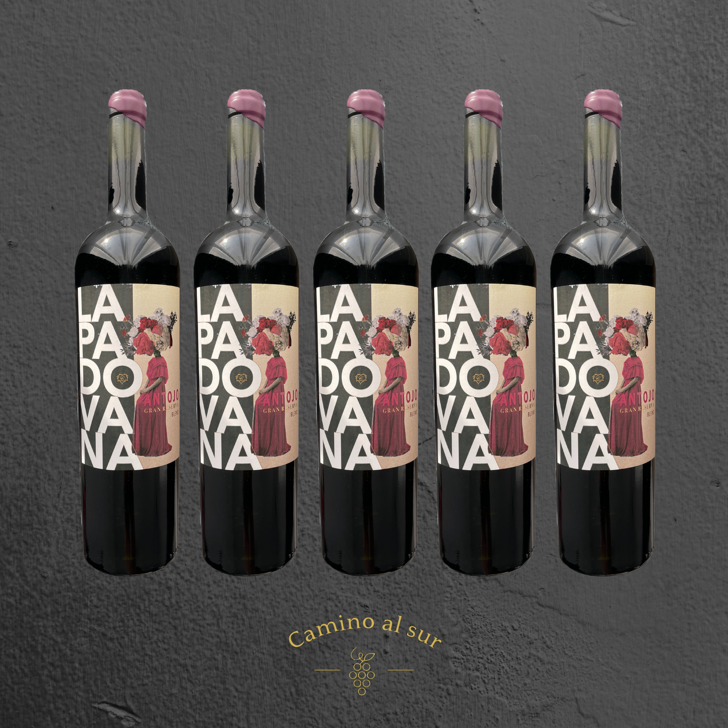 La Familia Canepa Martin - La Padovana Antojo Blend Gran Reserva - 2017 - 6er Karton