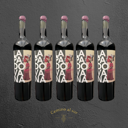 La Familia Canepa Martin - La Padovana Antojo Blend Gran Reserva - 2017 - 6er Karton