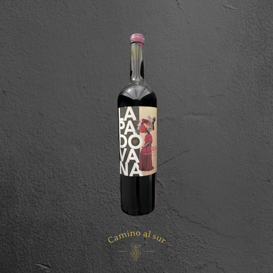 La Familia Canepa Martin - La Padovana Antojo Blend Gran Reserva - 2017 - 6er Karton