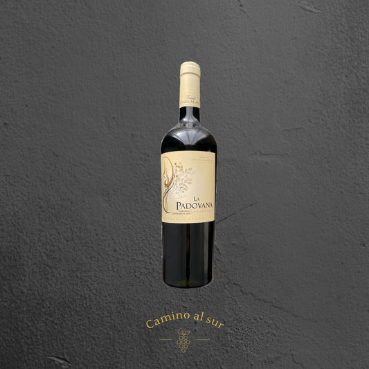 Familia Canepa Martin - La Padovana  Reserva Cabernet Sauvignon - 2019 - 6er Karton