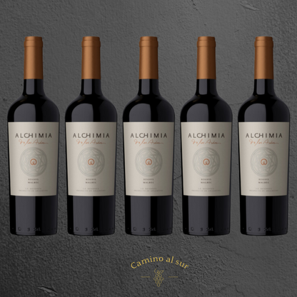 Alchimia De Los Andes - Reserva Malbec - 2019 - 6er Karton
