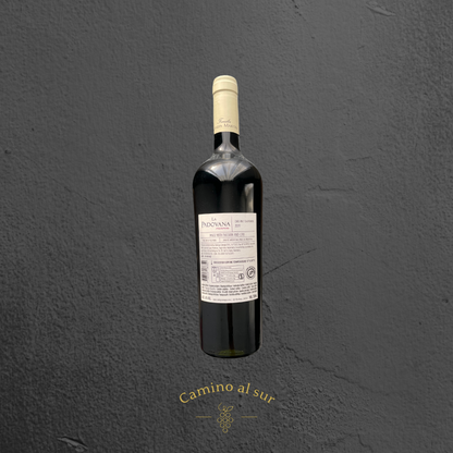 Familia Canepa Martin - La Padovana - Malbec Reserva - 2019 - 6er Karton