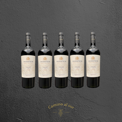Salentein - Barrel Selection Cabernet Sauvignon - 2019 - 6er Karton