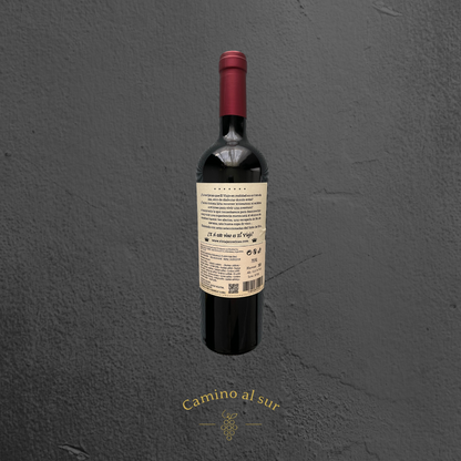 El Viajero - Malbec - 2020 - 6er Karton